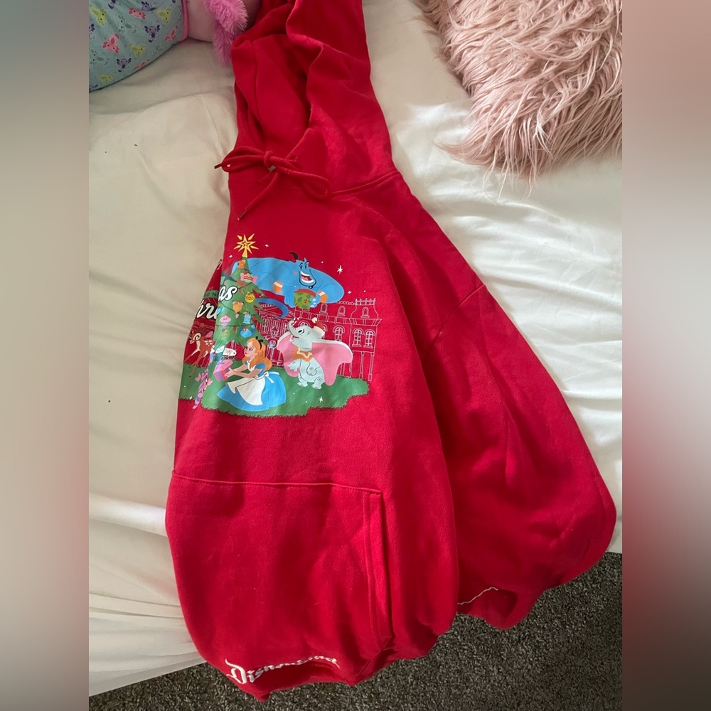 Disneyland Christmas time hoodie🏰❣️(Brand new) size M